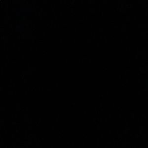 Meet your Posher, Moni